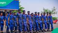 Mai dokar barci: Kotu ta daure babban jami'in NSCDC