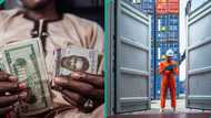 CBN announces new dollar customs exchange rate for importers to clear goods as naira appreciates