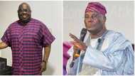 PDP chieftain Dele Momodu reveals his plans for Atiku hours after Tinubu’s inauguration