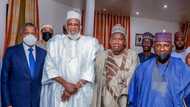 Khadimul Islam: Gwamna Ganduje ya yi sulhu tsakanin Dangote da AbdulSamad Isyaka Rabiu