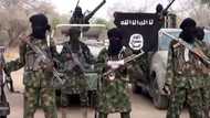 Abin da yasa ƴan Boko Haram suke mika wuya - MNJTF