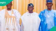 CSOs Praises President Tinubu, minister Matawalle,NSA ,security forces for 90% drop in insecurity