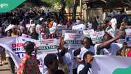 Massive protest hits NNPC towers over fuel crisis, 2 other reasons