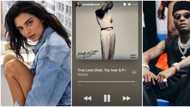 More international celebrities vibe to Wizkid as Kendall Jenner listens to True Love from Made in Lagos album
