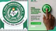 How to Accept or Reject Admission on JAMB CAPS Before the Window Closes