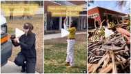 "Blindfolded photography": Netizens raise eyebrows over authenticity of stunning images