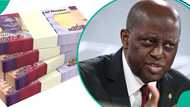 CBN clears confusion over old ₦100 notes, confirms all versions remain legal tender