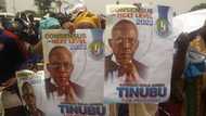 2023: Northern APC youth, women march to Aso Rock in support of Tinubu, call for consensus
