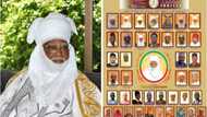 Jerin sunayen ’ya’yan marigayi Sarkin Kano Alhaji Dr. Ado Bayero guda 62