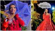 Nigerians react as James Brown turns up for Papaya Ex's birthday party in red ball gown