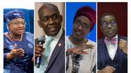 Meet Nigerians and Africans leading top global institutions