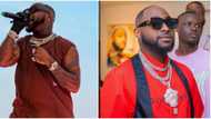 He needs better management like Wizkid: Mixed reactions trail Davido's preview of his new unreleased song