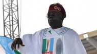Remove petrol subsidy, new naira notes: Experts task Tinubu on first steps of first 100 days in office