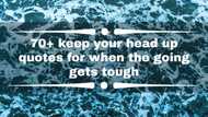 70+ keep your head up quotes for when the going gets tough