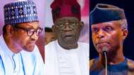 May 29: Asset declaration call for Buhari, Osinbajo, 28 govs begins as Tinubu, Shettima get 90days deadline