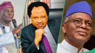 Shehu Sani reacts to report on Nigerian politicians who own properties in Dubai