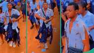 WAEC final paper: Secondary school students tear their uniforms, celebrate after finishing WASCE