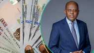 Good news: CBN sees recovery in H2 2024, forecast 7 trends to drive economic growth