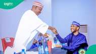 Analyst shares why Kano governor Abba Yusuf picked former rival Garo as deputy