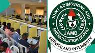 JAMB top scorers from 2024 to 2026: 5 interesting facts about Nigeria's best candidates
