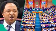 Shehu Sani reacts as demand for new state creation deepens 1year before 2027 election