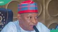 Kano governor reduces tertiary institution fees by 50 percent, gives reason