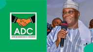 Breaking: Atiku reacts as court orders deregistration of ADC, others