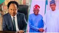 Shehu Sani issues strong warning to Northern leaders “rallying Buhari in plot” to sack Tinubu