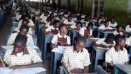 FG discloses plans to privatise public schools