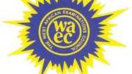 How to easily check WAEC GCE result 2019 from the comfort of your home