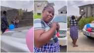 "Which work are you doing?" Nigerian woman rejects her son's car gift in video, accuses him of doing yahoo