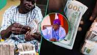 Naira ends week against dollar with loss, black market traders quote new rates