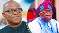 "Do you want Tinubu dead like Iranian president?": Onanuga tackles Obi over presidential jet