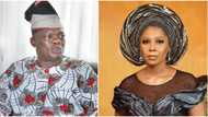 Former police affairs minister Adesiyan condoles Senator Folarin over death of his wife