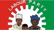 BREAKING: Labour Party’s logo missing on Ondo ballot papers, LP calls for postponement of 2023 polls