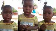 "Where did he learn this?" Little boy adds huge numbers in seconds without using calculator, video trends