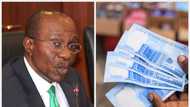 “Spend It freely”: CBN speaks on plans to phase out new naira notes as Nigerians complain of scarcity