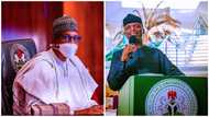 Grant him right of first refusal: Group tells Buhari, APC leaders what to do for Osinbajo in 2023