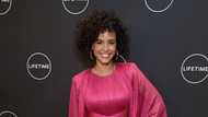 Araya Crosskill bio: what is known about Parisa Fitz-Henley's husband?