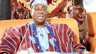 Staff of office seized as hoodlums attack Oba of Lagos' palace