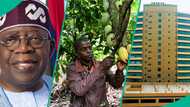 Tinubu commends BOI’s N636bn loans as agriculture takes largest share