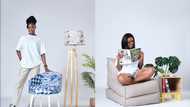 Taeillo Unveils New Furniture Collection: Launches the Taeillo Mattress Line