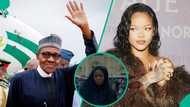 Concerns trail edited video of Rihanna mourning Buhari with emotional song, fan says: "God punish u"
