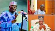 2023 presidency: Atiku, Saraki, Tambuwal get bad news from Buhari's top critic