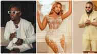 Level don change: 6 BBNaija stars who now lead classy lives after participating in reality show