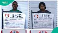 EFCC drags native doctor, wife to court over alleged N1.1bn contract scam