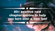 80+ positive new chapter quotes to help you turn over a new leaf