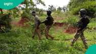 Sojoji sun yi babban kamu a Borno, sun cafke ɗan kasar waje dake tallafawa ISWAP