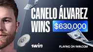 Canelo Alvarez wins record $630K after betting on Usyk at 1win