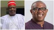 2023: Power will go to South East after Kwankwaso, says former lawmaker Jibrin